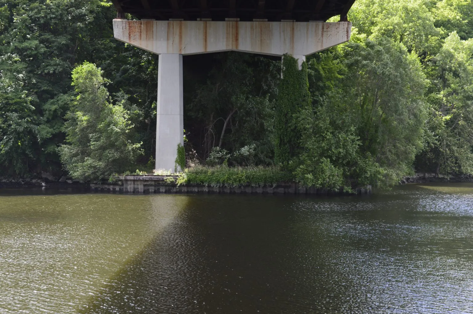 Concrete bridge pillars rise from a river beneath shaded girders and overhanging green trees.