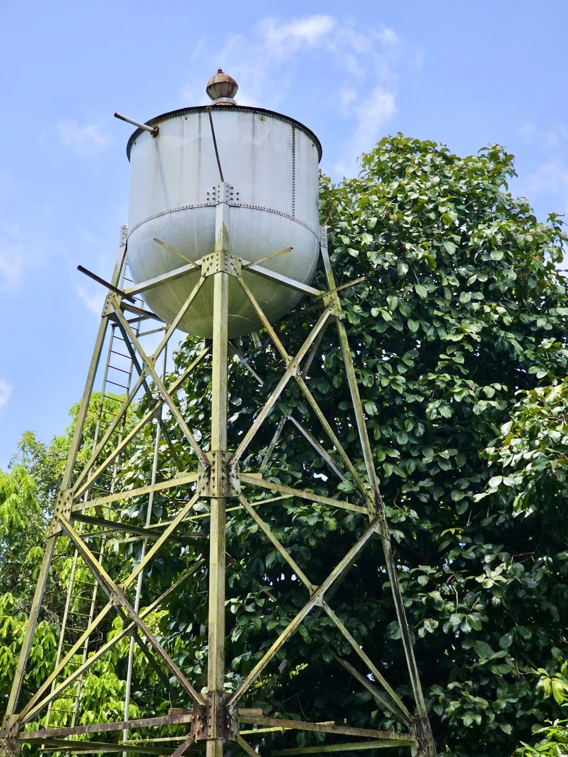 A riveted metal water tank stands on steel supports above dense green foliage.